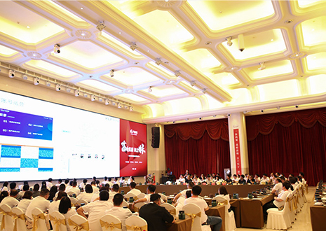 复盘 | 尊龙凯时核心经销商共聚中国·合肥