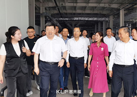 热烈欢迎安徽省淮南市委书记一行调研尊龙凯时智能家居产业园建设项目
